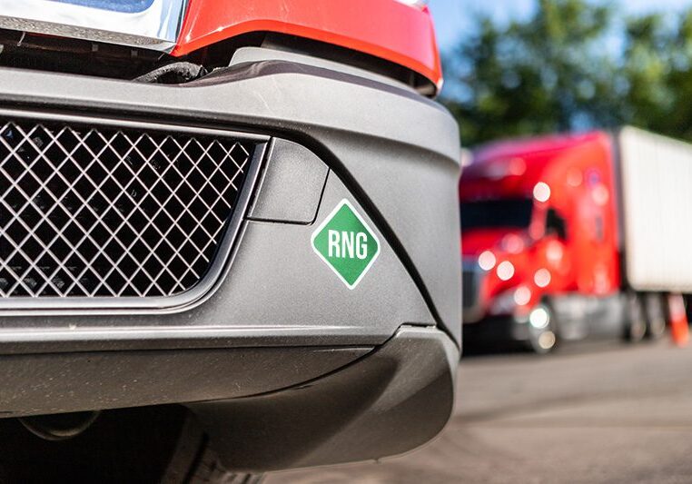 Sustainable CNG Sticker